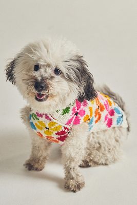 Hand Knit Chilly Dog Pet Sweater AnthroLiving