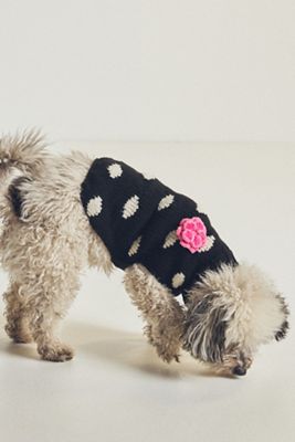 Hand-Knit Chilly Dog Pet Sweater