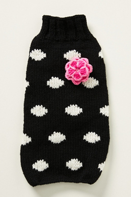 Chilly Dog Pet Sweater In Black