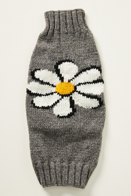 Chilly Dog Pet Sweater In Yellow