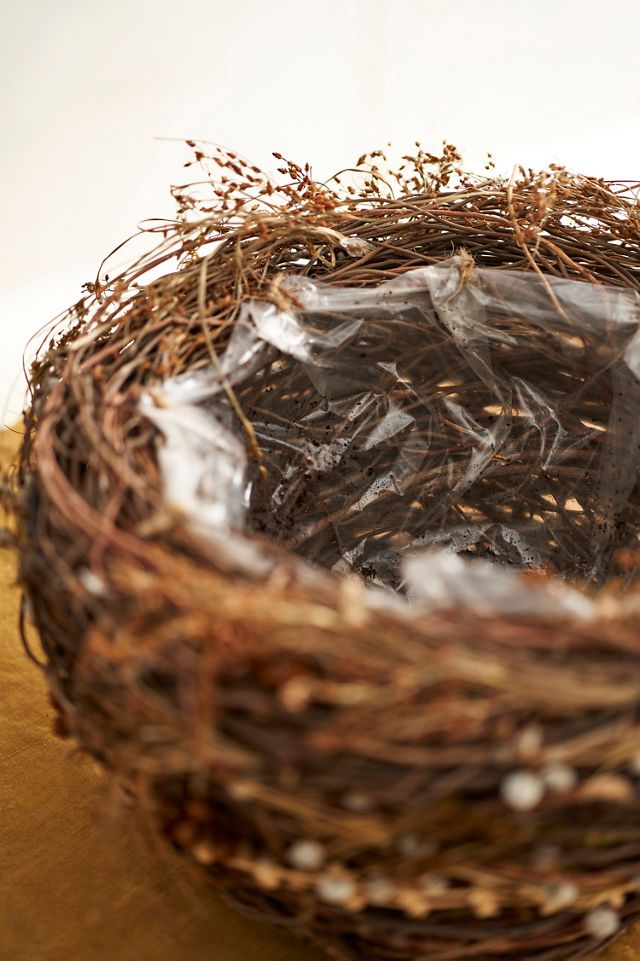 Botanical Nest Basket #2