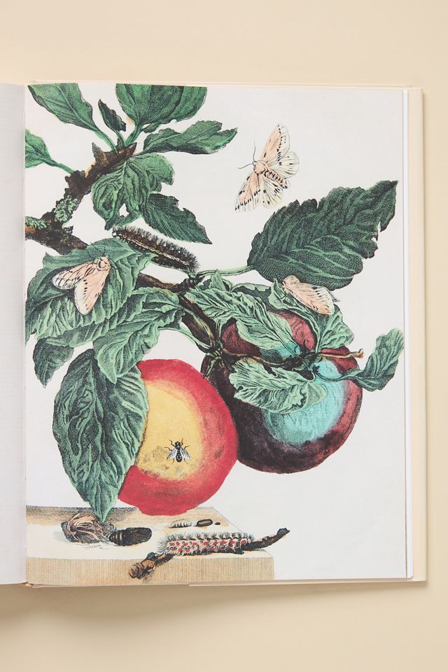 John Derian Picture Book II Hardcover Coffee Table Book #2