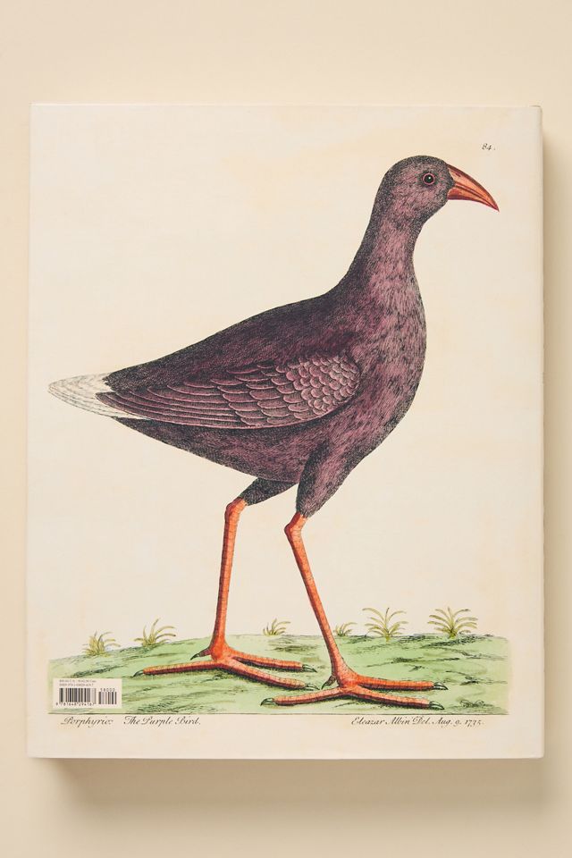 John Derian Picture Book II Hardcover Coffee Table Book #3