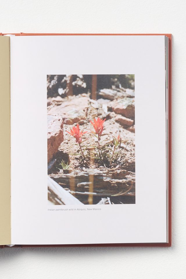 Edible Flowers: How, Why, and When We Eat Flowers #1