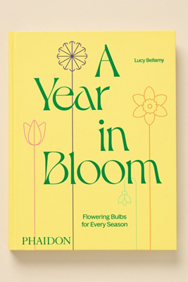 A Year in Bloom: Flowering Bulbs for Every Season