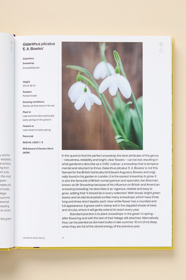 A Year in Bloom: Flowering Bulbs for Every Season #1