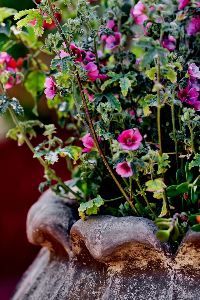 Keswick Cast Stone Planter #1