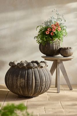 Hermes Mushroom Concrete Pick | Terrain