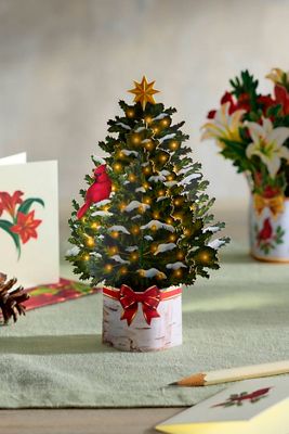 Holiday Pop-Up Cards, Set of 5