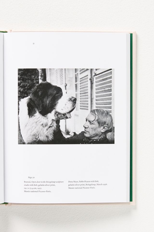 Picasso and His Dogs #2