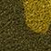 Olive-Shaped Coir Printed Doormat