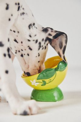 Anthropologie 3D Ceramic Fruit Dog & Cat Bowl