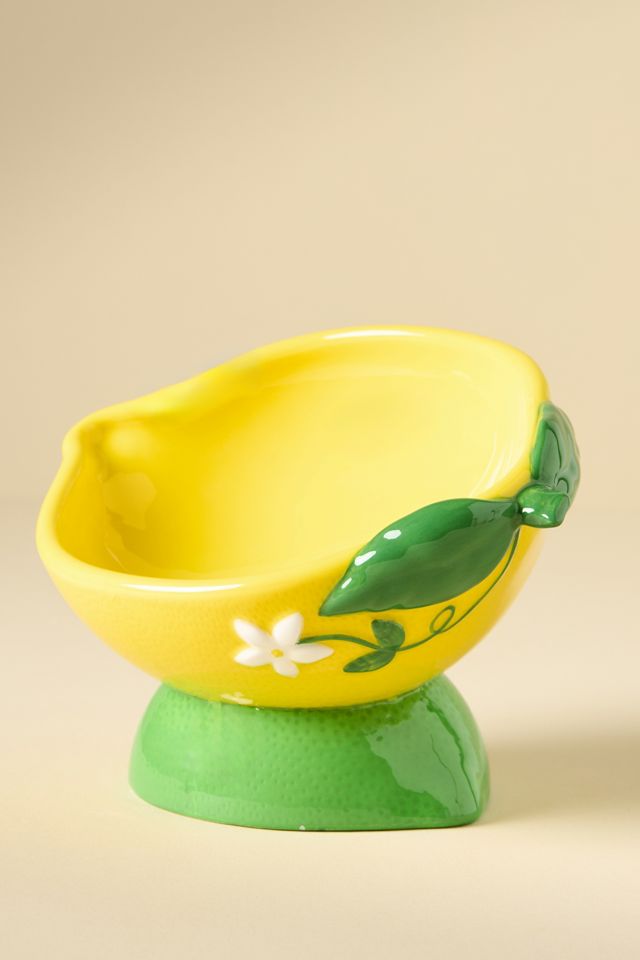 Anthropologie 3D Ceramic Fruit Dog & Cat Bowl #1