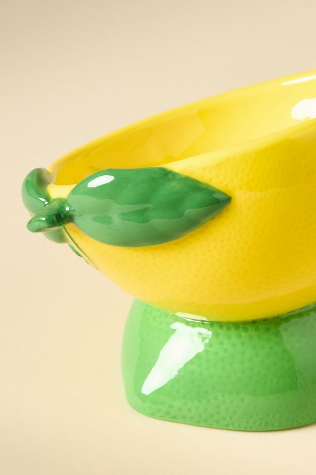 Anthropologie 3D Ceramic Fruit Dog & Cat Bowl #2