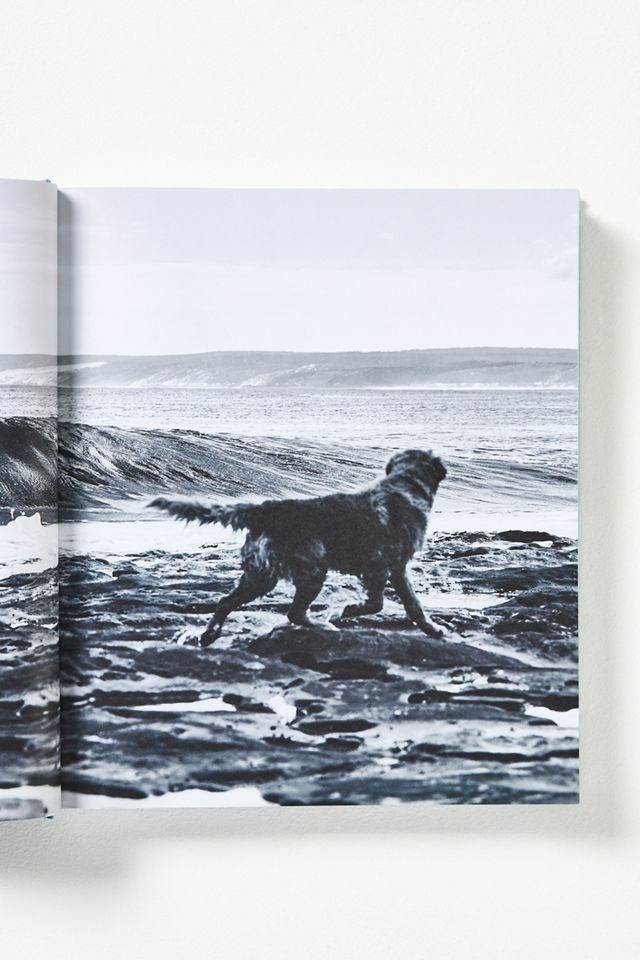 Life Around the Sea: Capturing the Heart of Australian Surf Culture #1