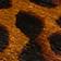 Brown Pattern