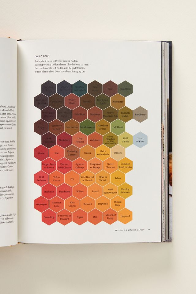 Honey: Recipes From a Beekeeper's Kitchen #1