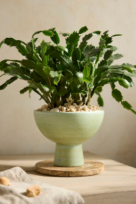 Terrain Rounded Ceramic Urn Planter