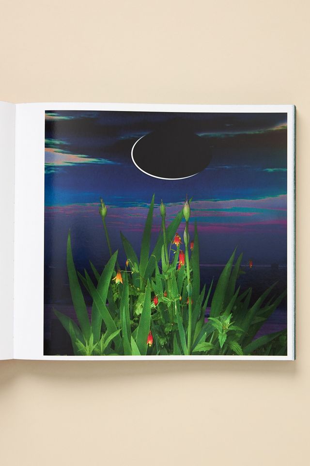 Lucas Samaras: Flowers #2