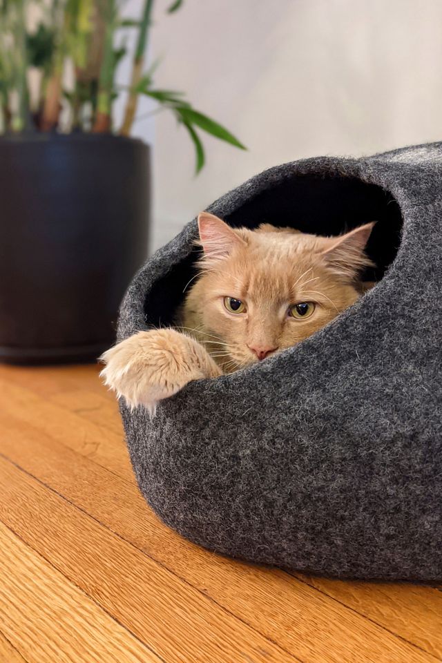 Mau Pet Horizon Cat Cave #1