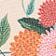 DAHLIA PINK