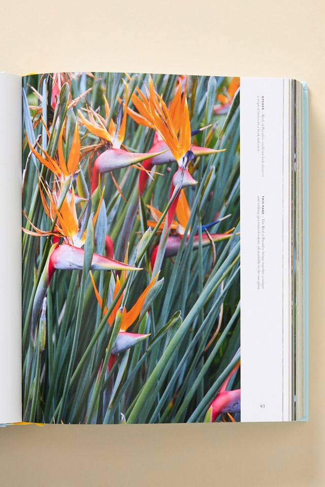 Super Bloom: A Field Guide to Flowers for Every Gardener Coffee Table Book #1