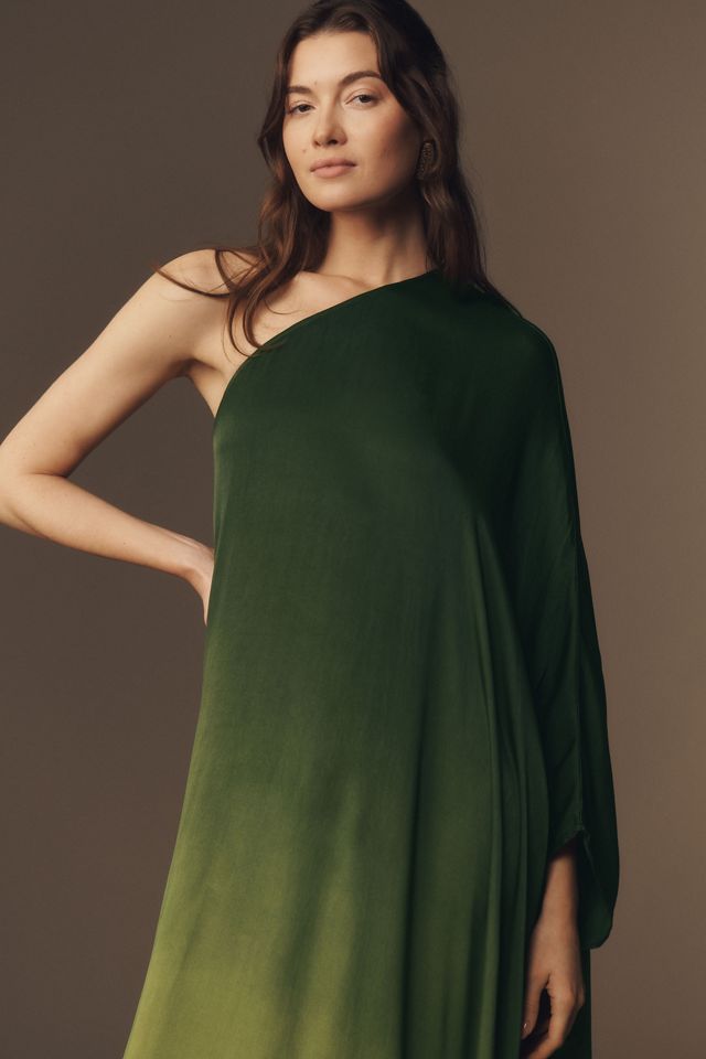Diarrablu Satu Long-Sleeve One-Shoulder Maxi Dress #2
