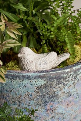 Cement Bird