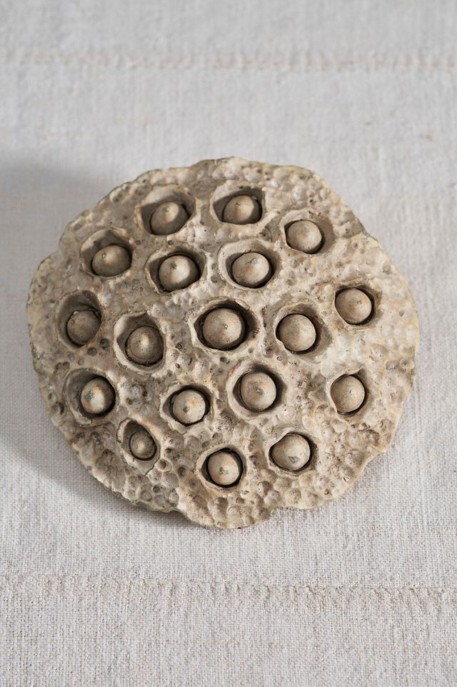 Cement Lotus Pod #1