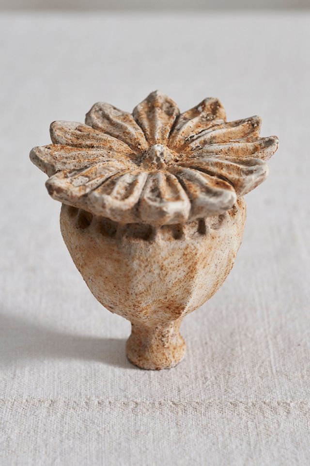Cement Poppy Pod #1