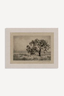 Anthropologie Searching For You Wall Art By Lina Gordievsky