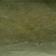 Moss
