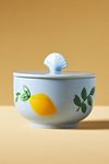 Dimitria Woody Seaside Pine Ceramic Candle