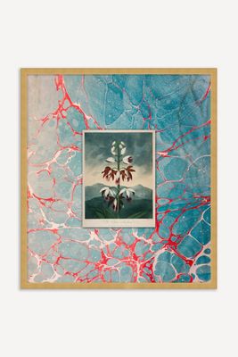 Marble Floral Study Wall Art