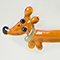 Dachshund