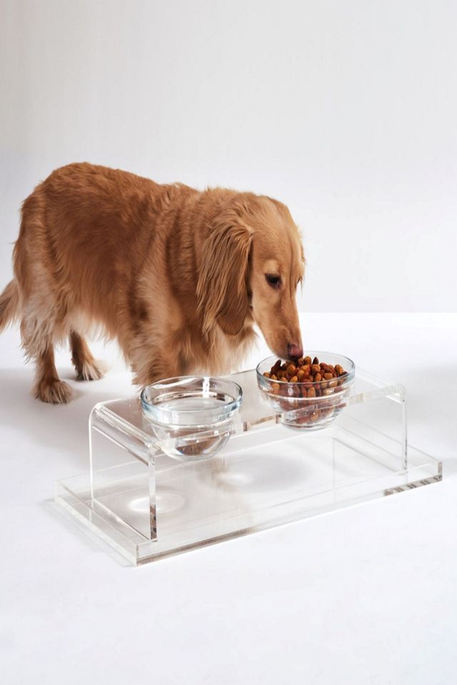 Hiddin Clear Overflow Feeder Pet Tray #1