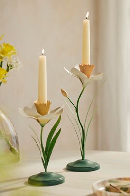 Daffodil Taper Holder