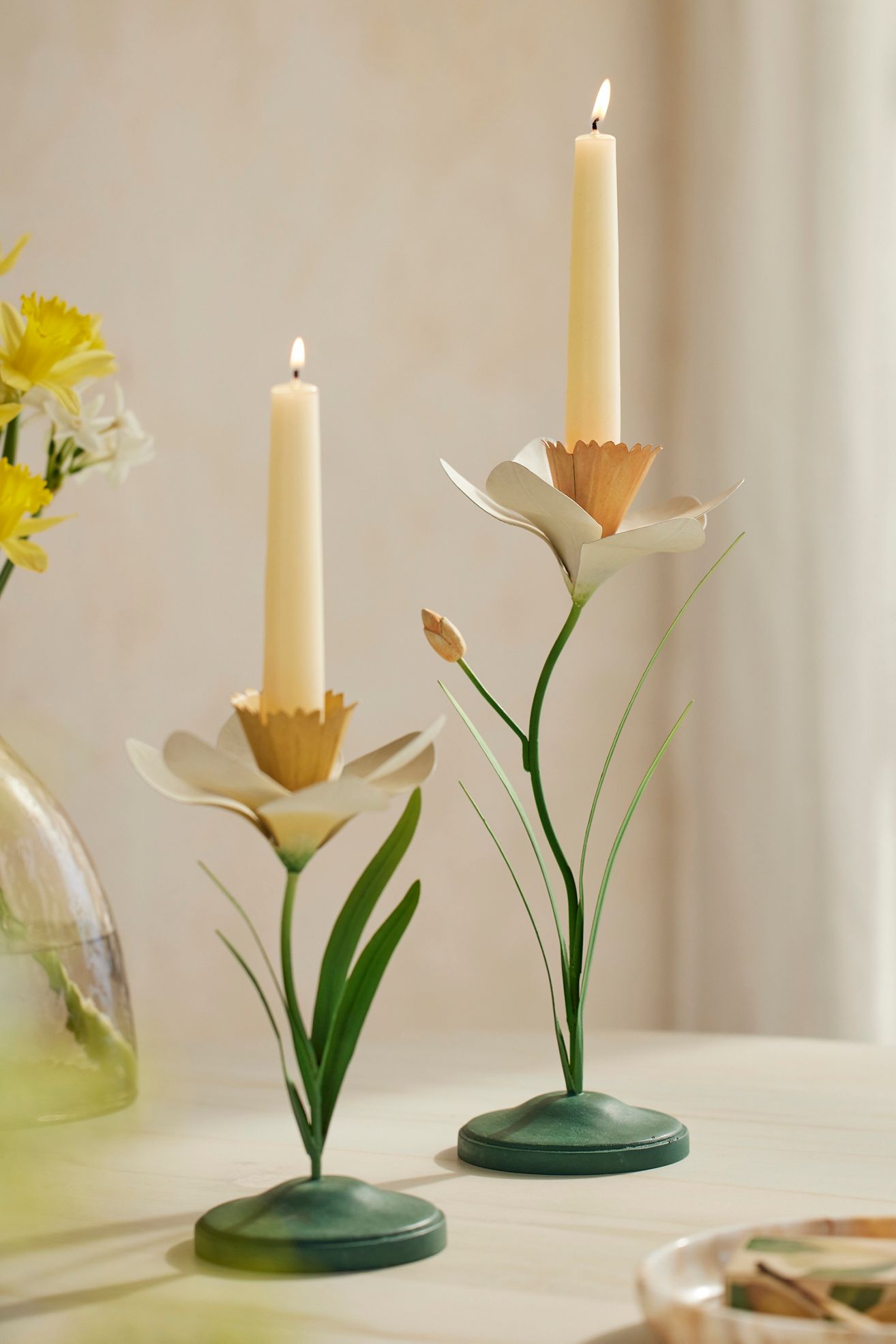 Daffodil Taper Holder - Coral, Large