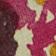 Hibiscus & Pink Guava
