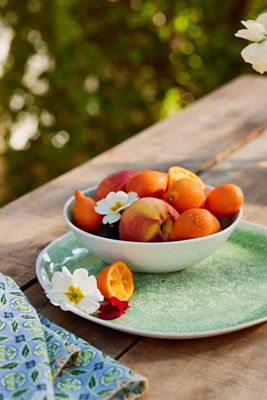 Dakota Melamine Dinner Plates, Set of 4