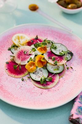 Dakota Melamine Dinner Plates, Set of 4