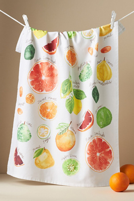 Types of Citrus Dish Towel