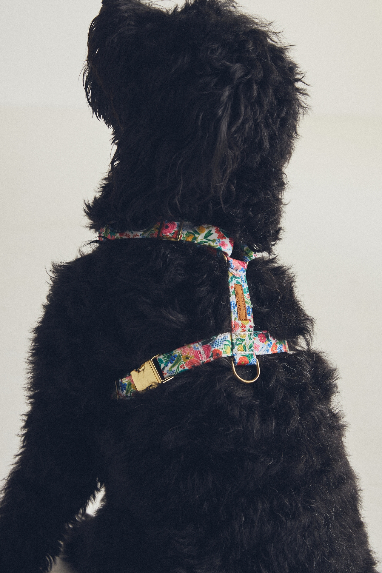 Rifle Paper Co. x The Foggy Dog Garden Party Harness