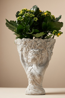 Daphne Pot