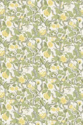 Anthropologie Kort Fruit And Floral Wallpaper