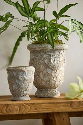 Barnacle Anduze Urn