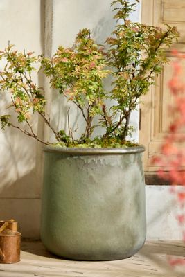 Roll Top Tall Ceramic Planter