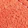 Fierce Red-Poison Pink