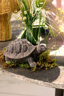 Cast Iron Turtle