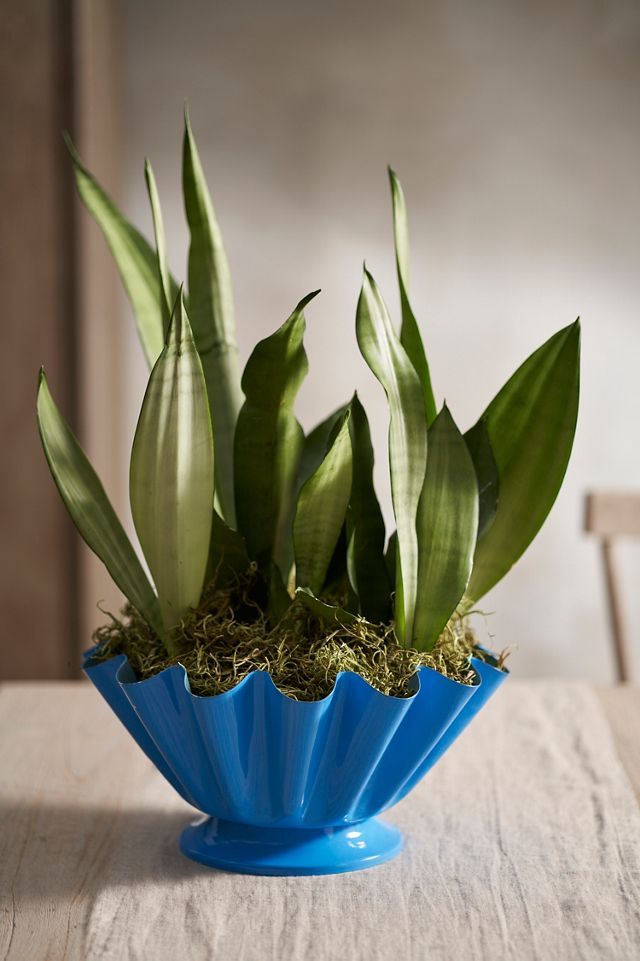 Enamel Fan Urn #1